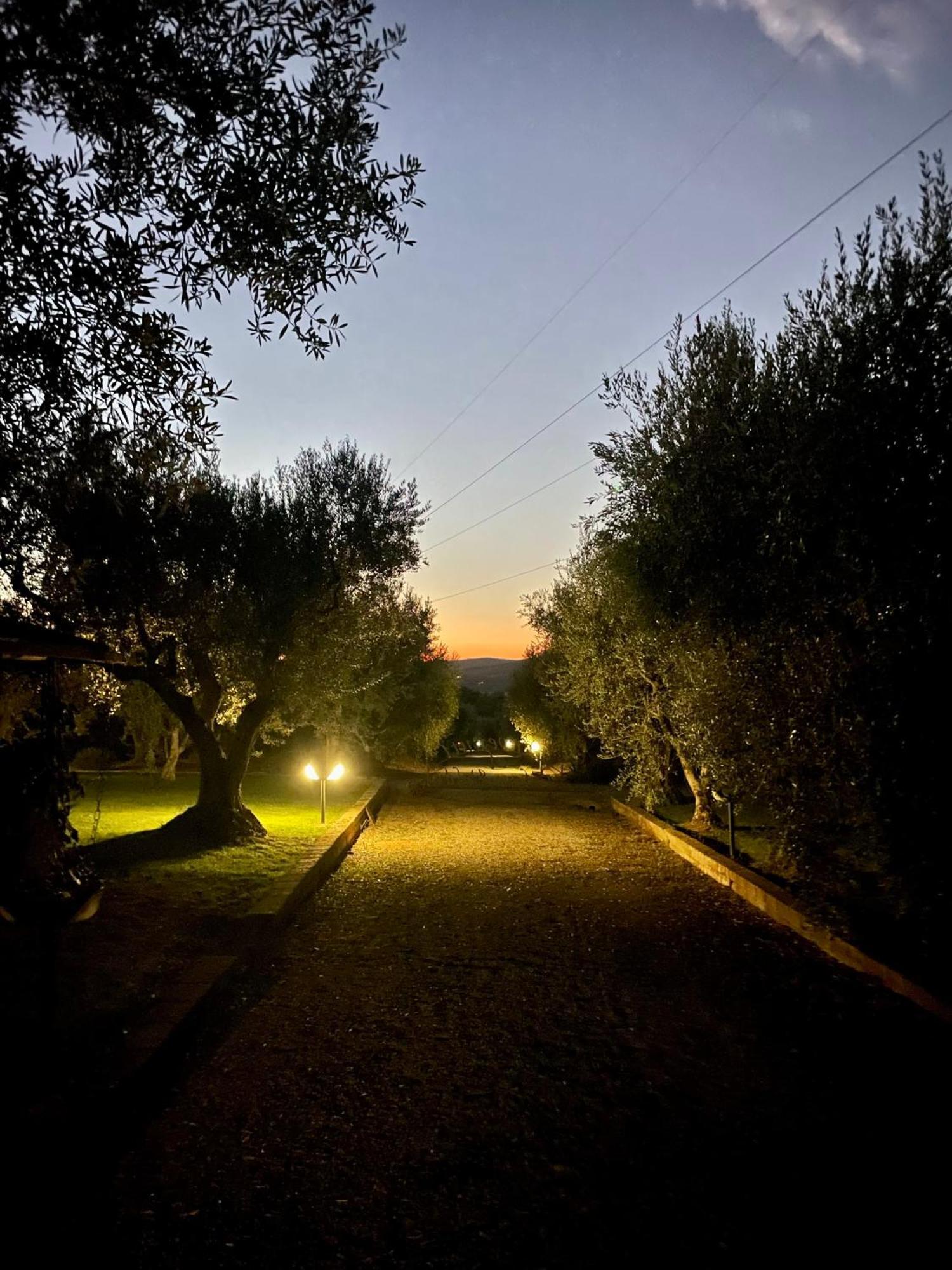 Agriturismo Podere Valdo Джаворано Екстериор снимка