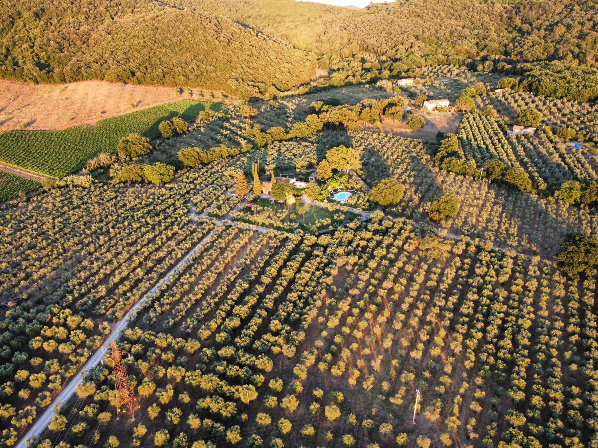 Agriturismo Podere Valdo Джаворано Екстериор снимка
