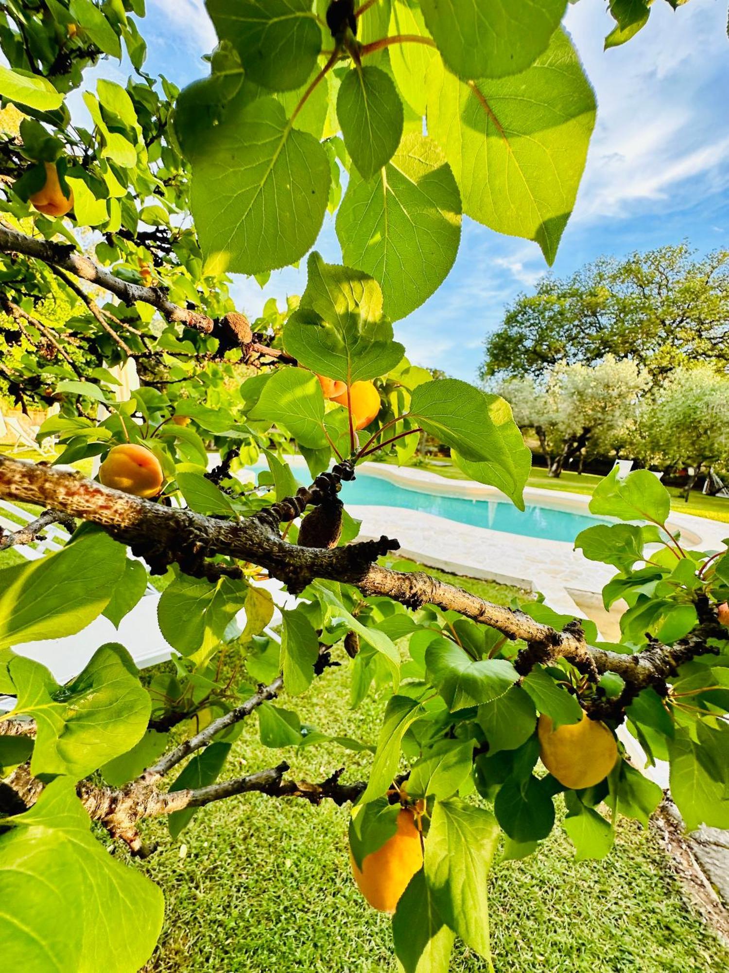 Agriturismo Podere Valdo Джаворано Екстериор снимка